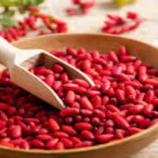 Bayas rojas de agracejo (Berberis vulgaris), la planta de la que se extrae la berberina