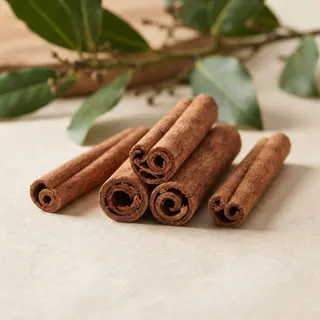 Ramas de canela en rama junto a hojas del árbol de canela